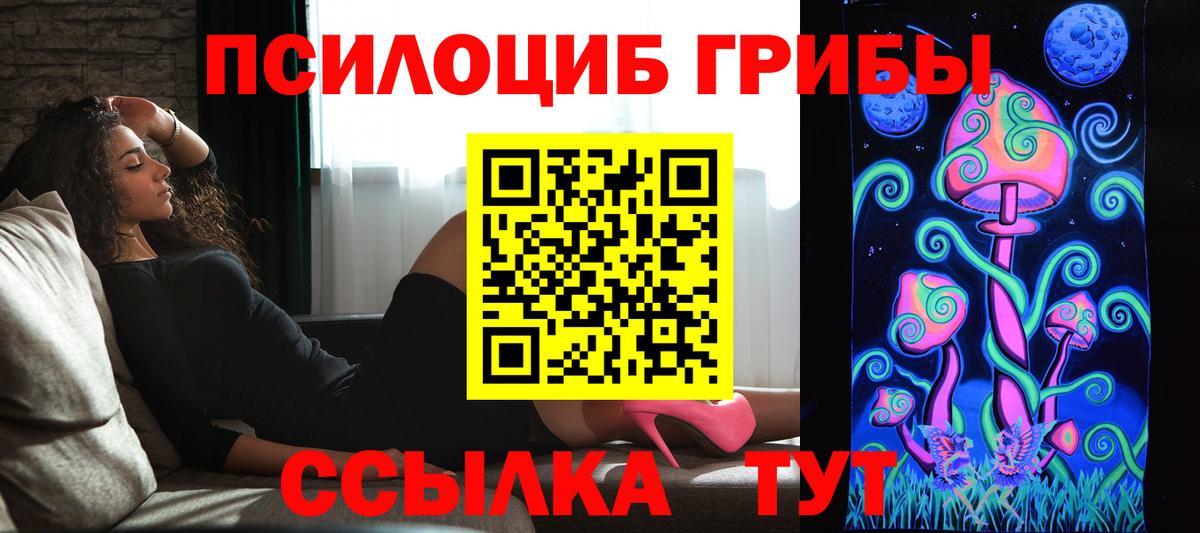 Галлюциногенные грибы Psilocybine cubensis  Псилоцибиновые грибы Magic Shrooms  Гурьевск  Вход с VPN 